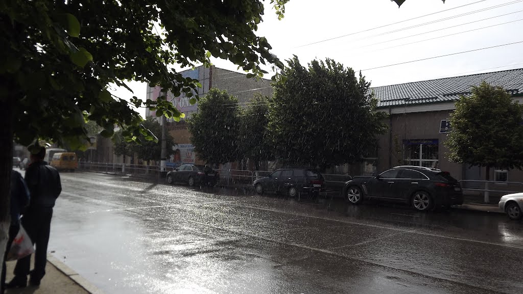 Rain and cars from a bus station