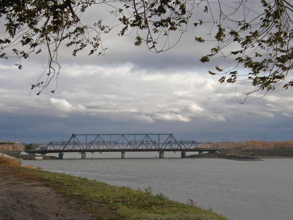 жд мост в Сызрани