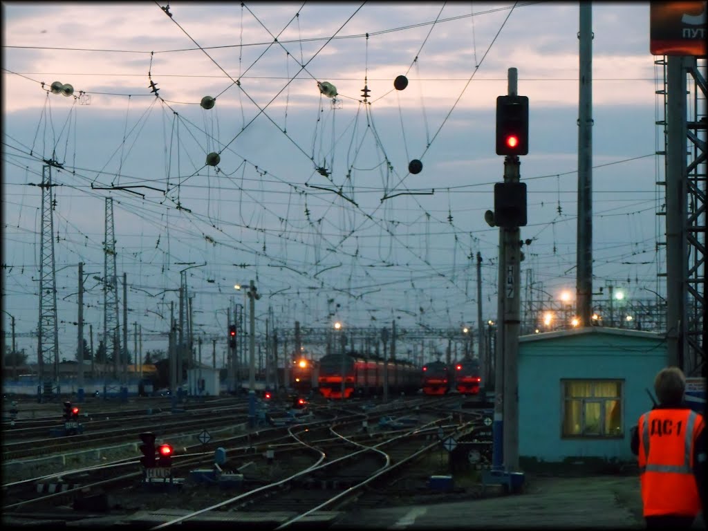 Стальная паутина