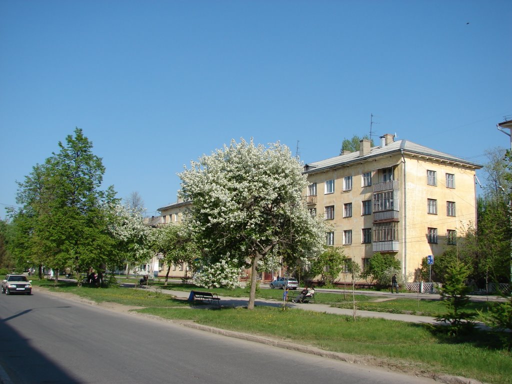 Ул. Жилина, Тольятти