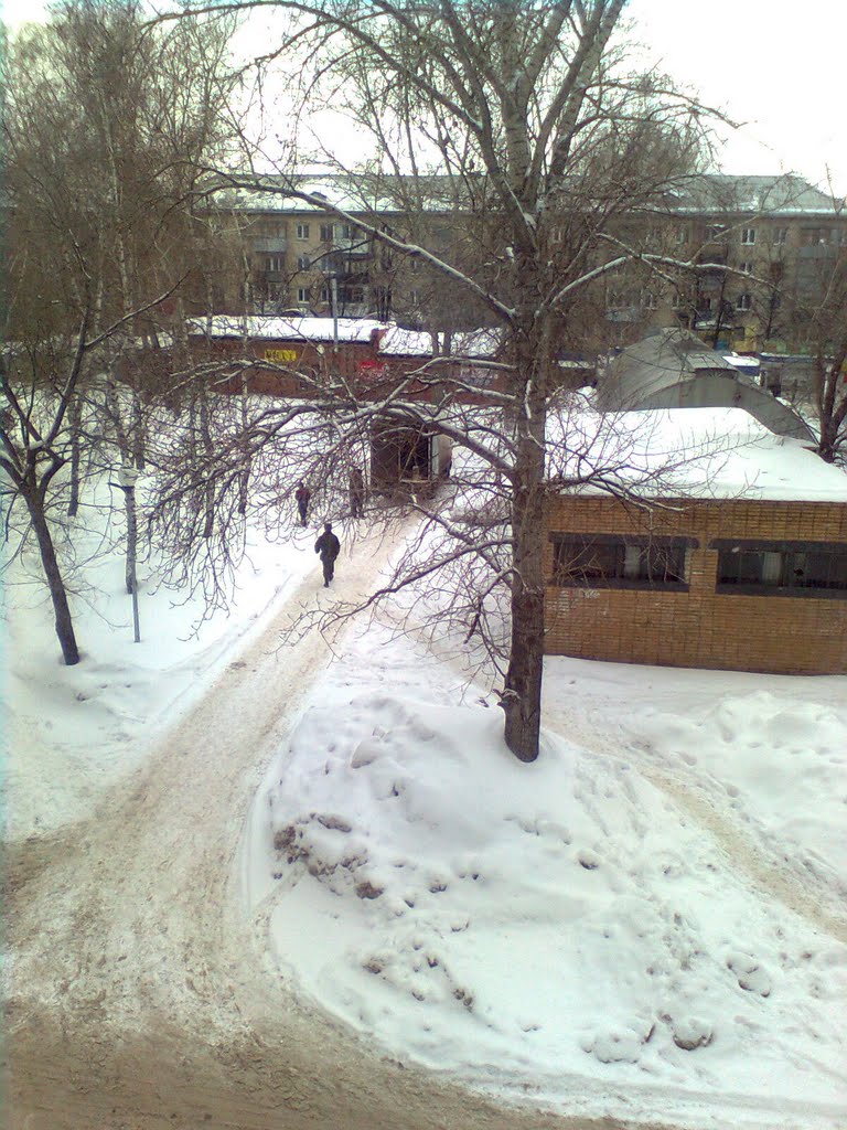 Вид из дома на Ленинградской