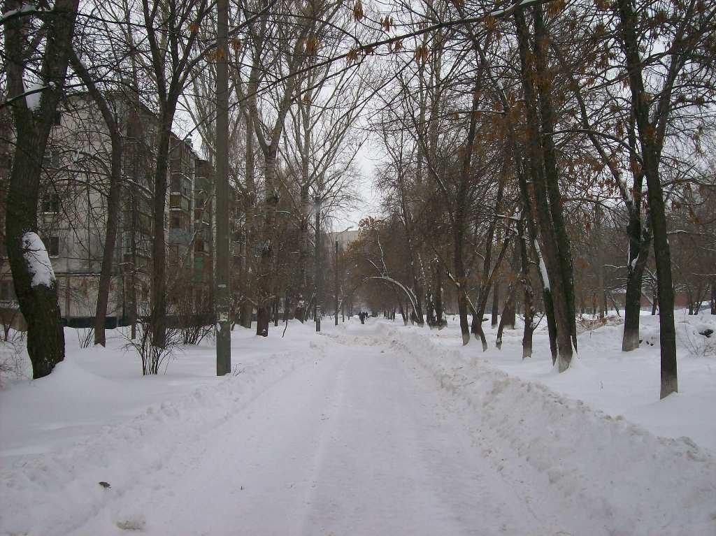 Аллея на Новопромышленной