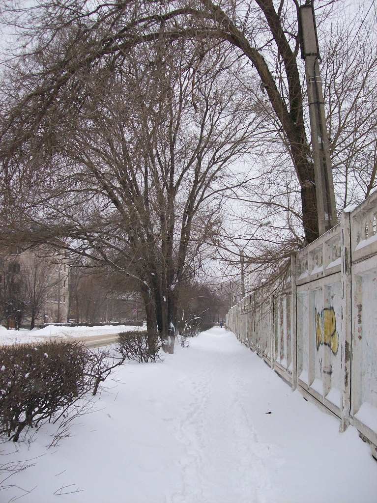 Снег и забор