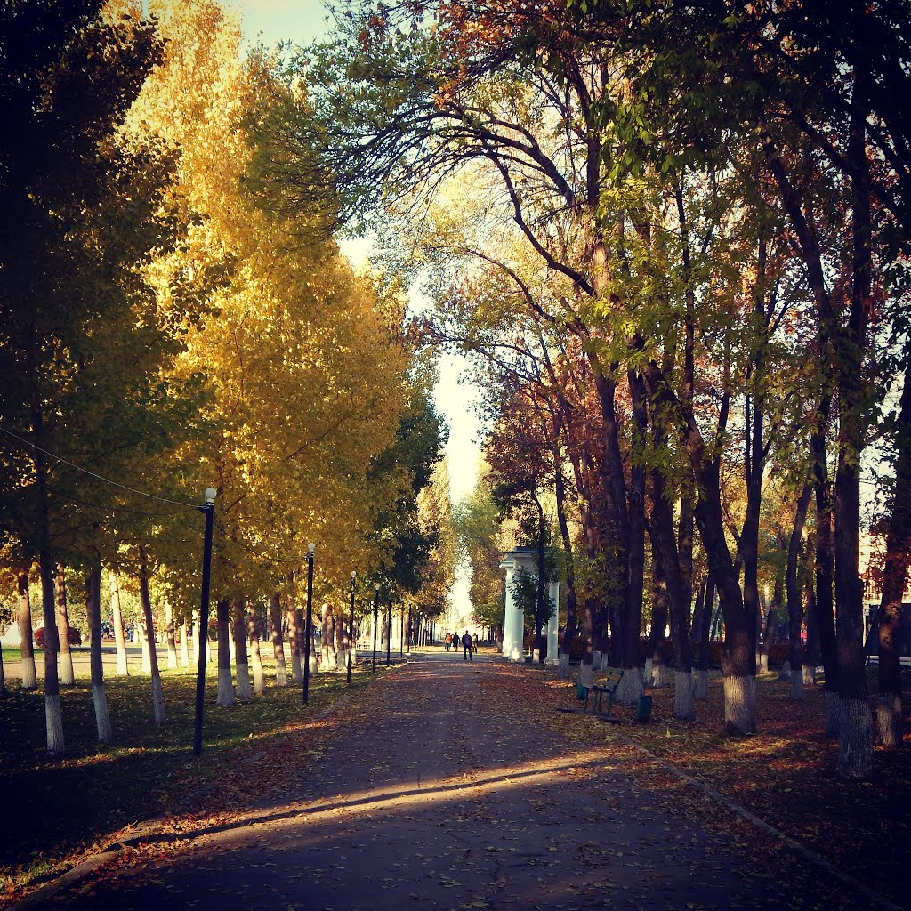 Золотая осень