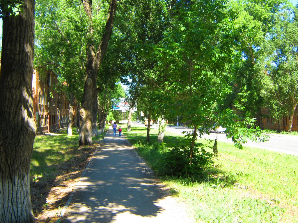Улица Пионерская