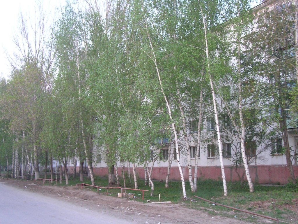 Чапаевск, Строительная