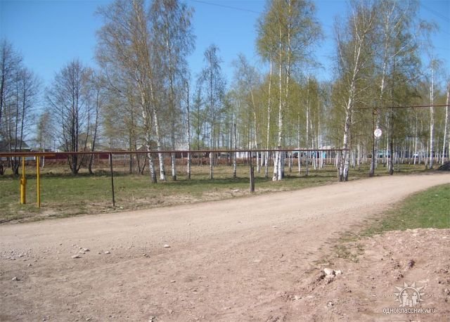 Березавая аллея около пожарной части