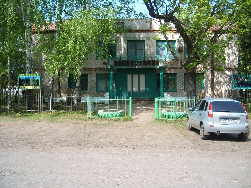 Шенталинский Лесхоз