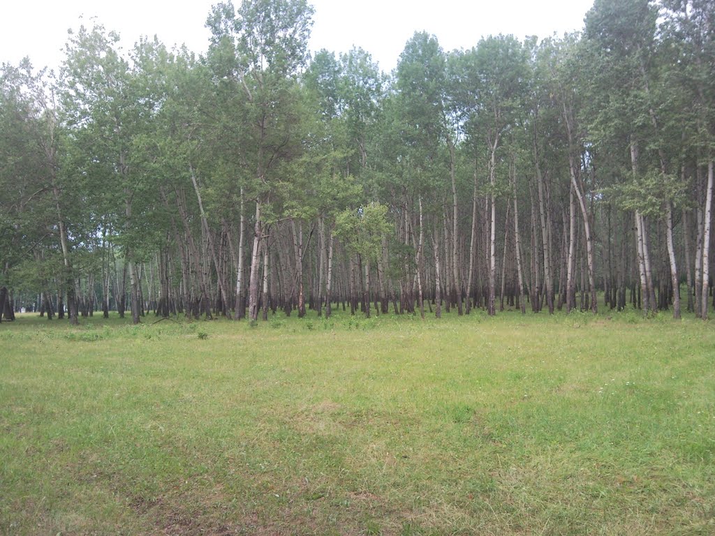 Ярмарочноая поляна