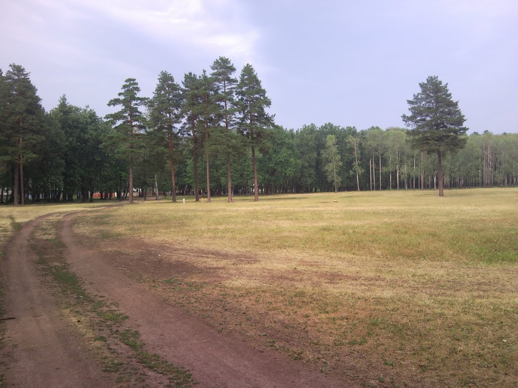 Ярмарочноая поляна