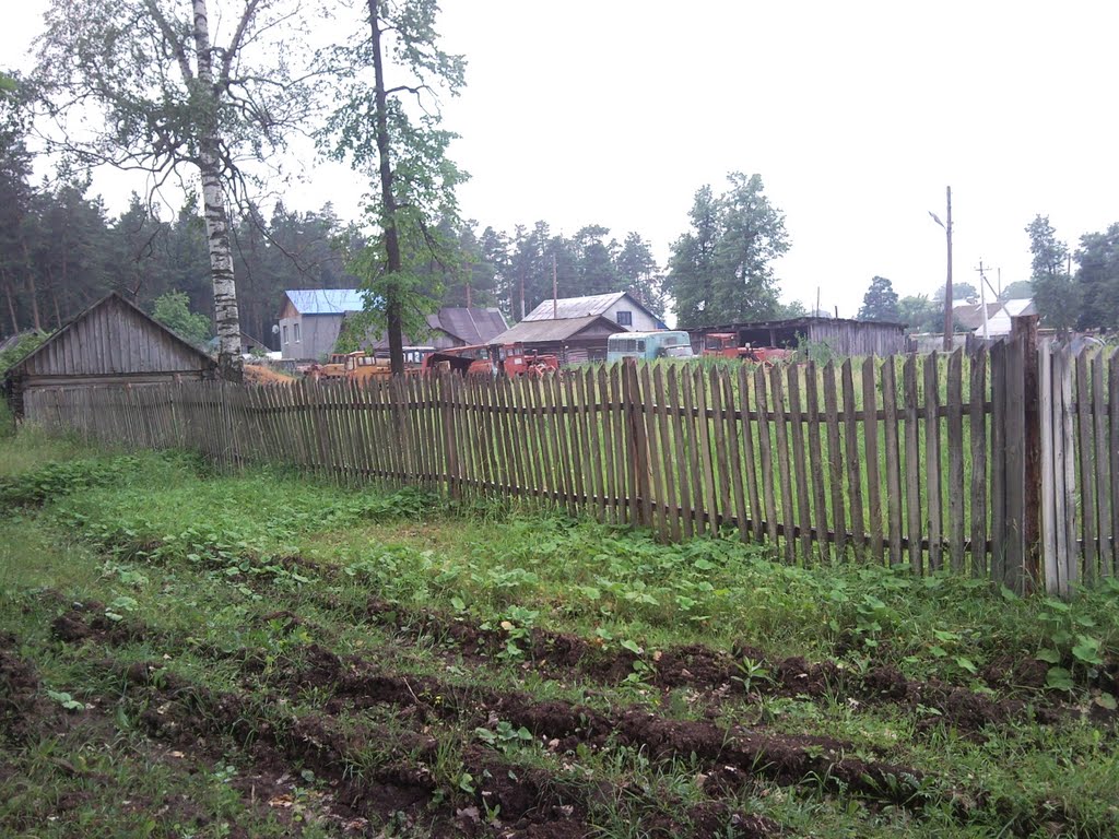 Дорога на пруд