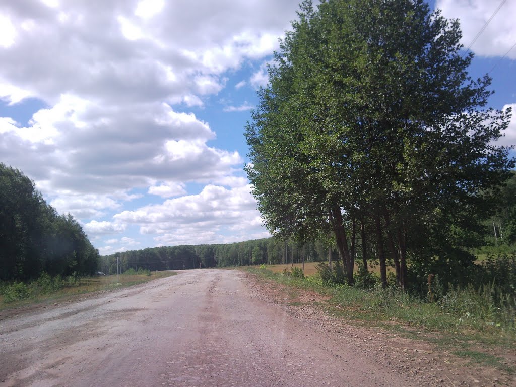 Дорога