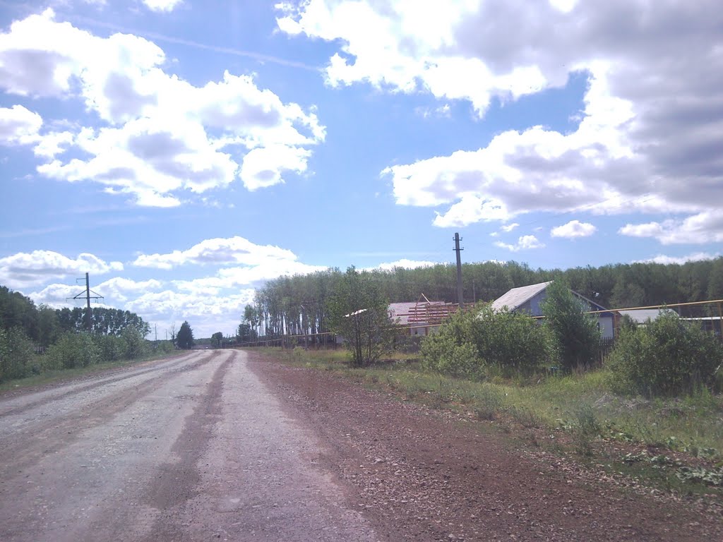 ул. Гагарина