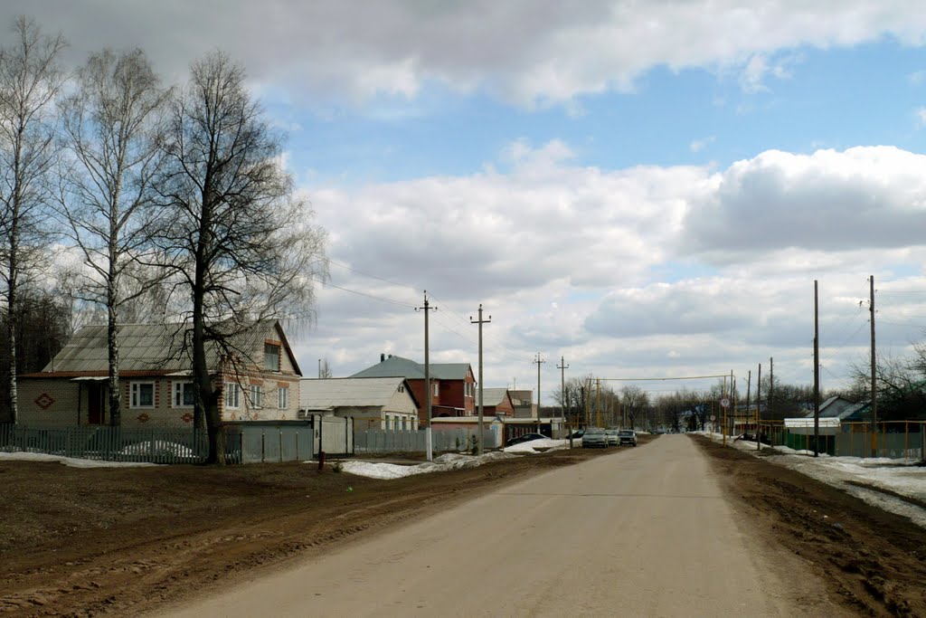 Улица Больничная(апрель)