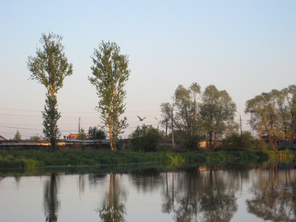 Река Ижора