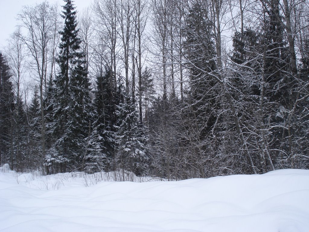Лыжная трасса