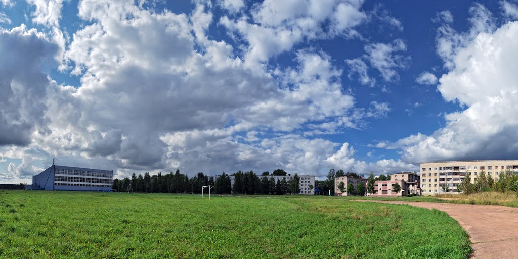 травка, небо и бассейн(август 2011)