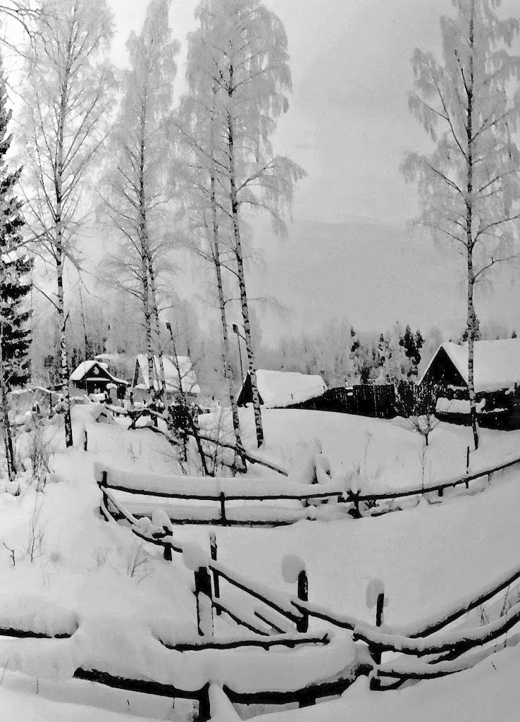 Пикалёво, дер. Гузеево, дек. 1973 г.