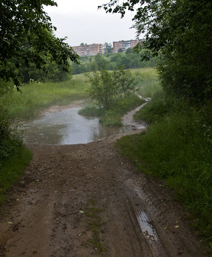 Пикалёво, дорожка  на ул. Набережную, июль 2012 г.
