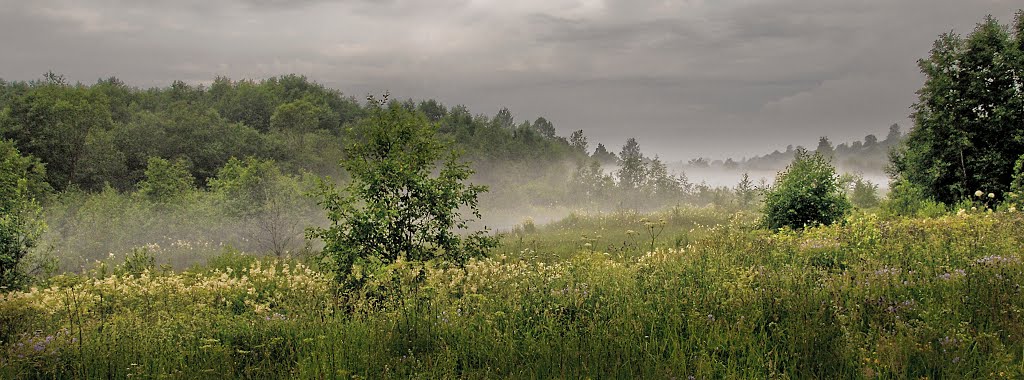 Пикалёво, р. Рядань, июль 2012 г.