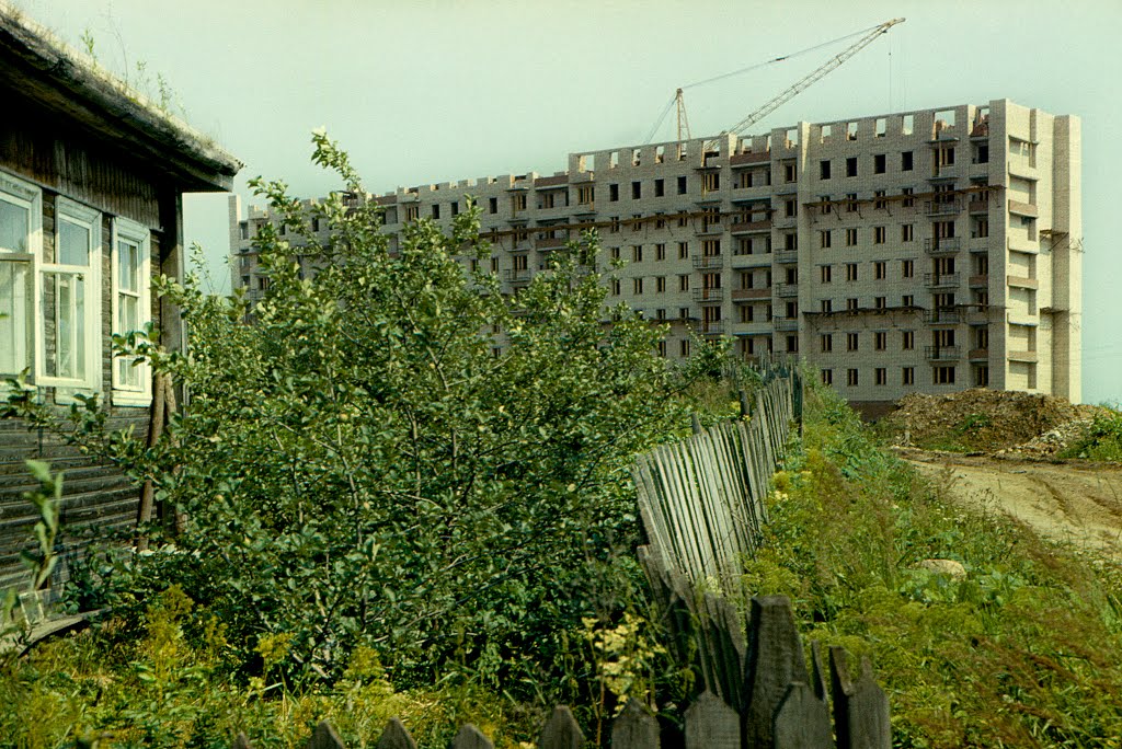 Пикалёво, ул. Металлургов 5, авг.  1977 г.