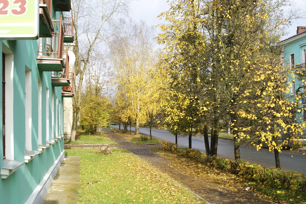 Пикалево