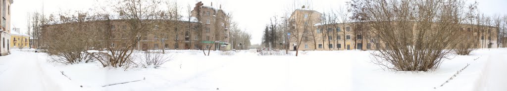 a road to the factory