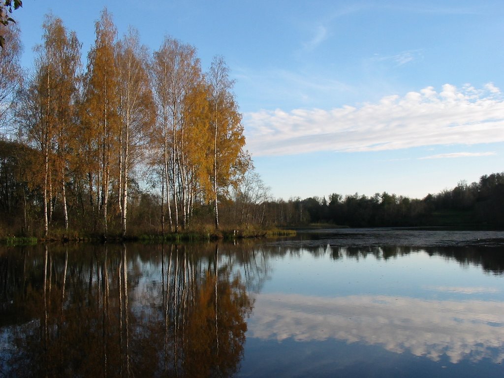 Бокситогорск.парк