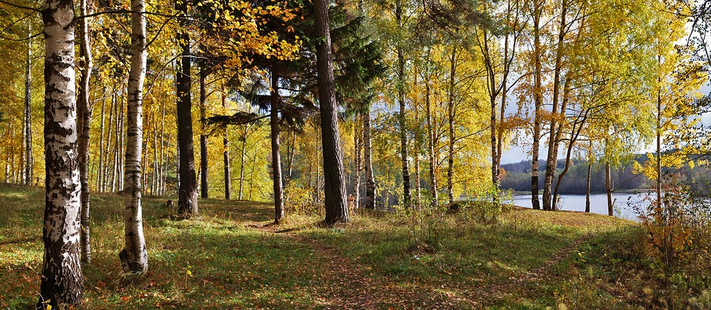 осенний парк