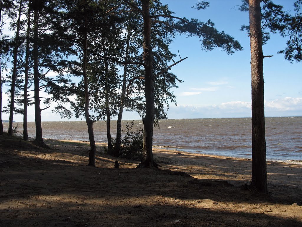 берег залива