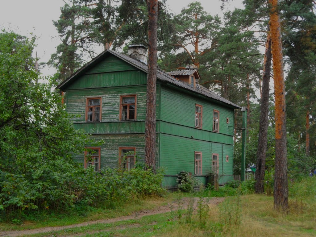 Большая Ижора. Жилой дом