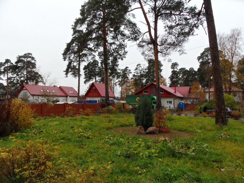 Большая Ижора.