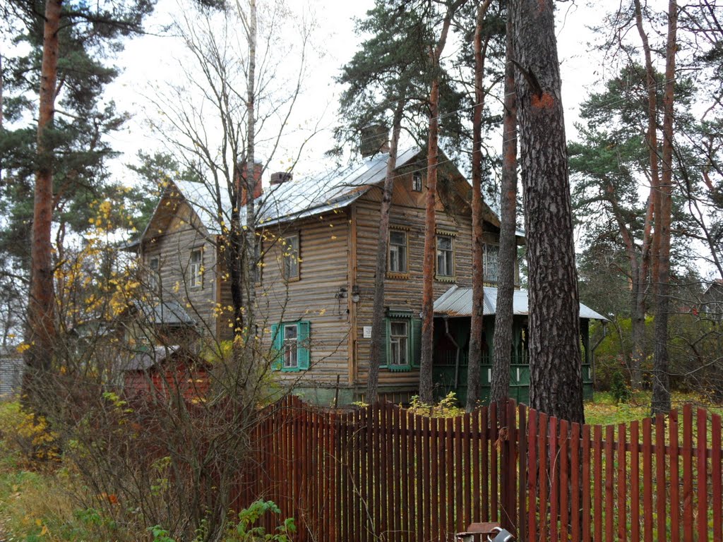 Большая Ижора. Мемориальный дом, в котором с 1910 по 1986 жила ученый-этнограф, писатель  Нина Ивановна Гаген-Тори