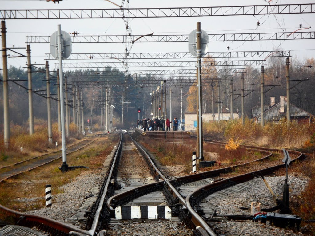 ЖД станция Большая Ижора