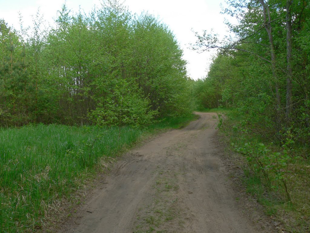 Дорога к пляжу