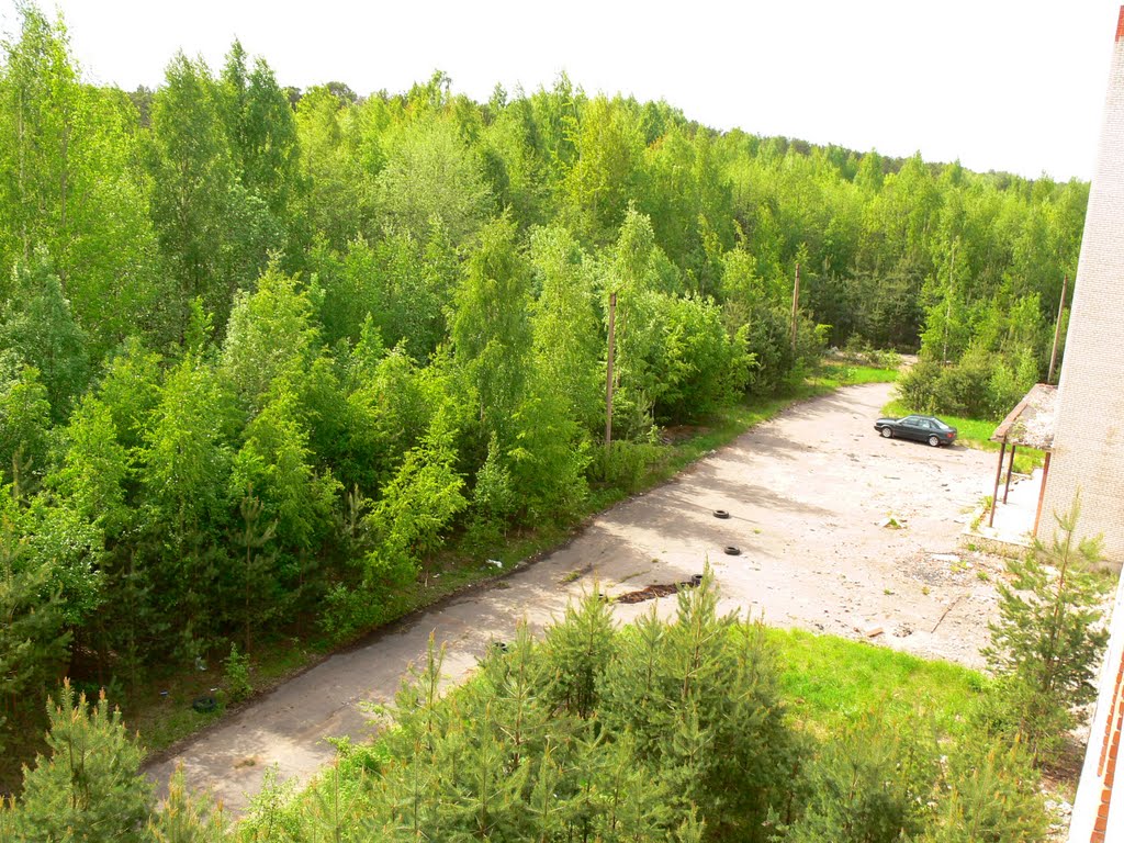 Площадка перед учебным корпусом