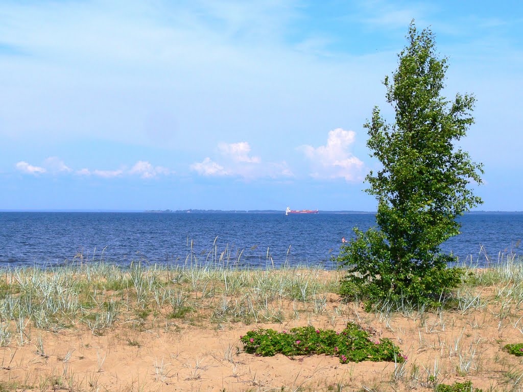 Залив в июле 2011