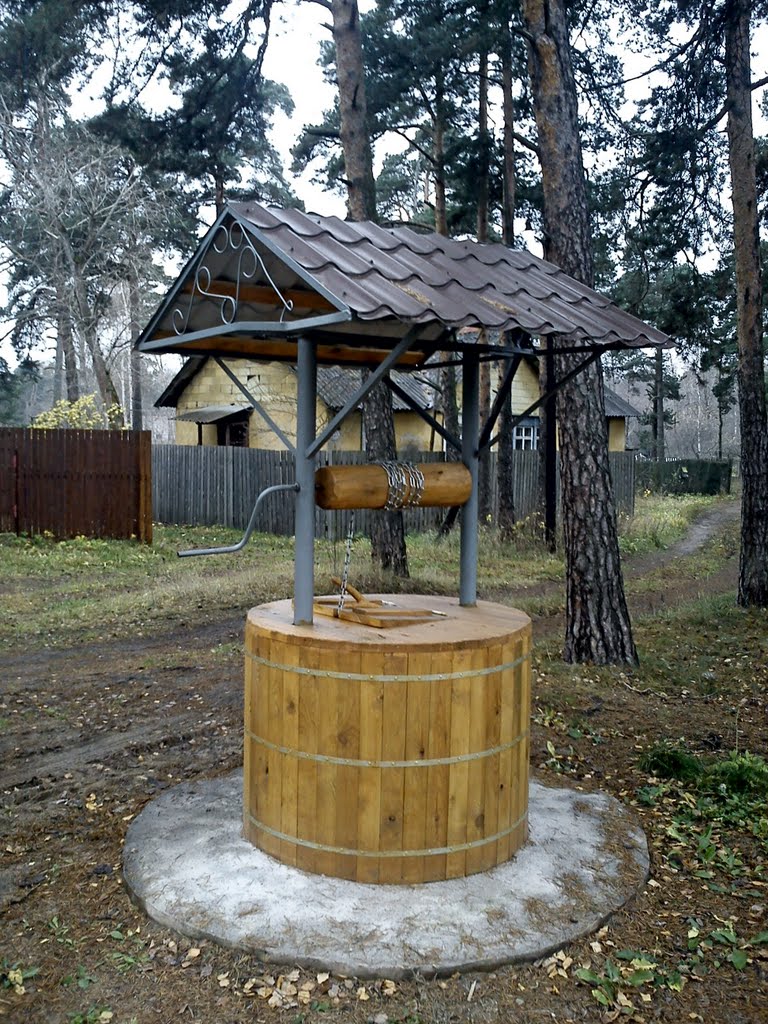 Большая Ижора. Колодец