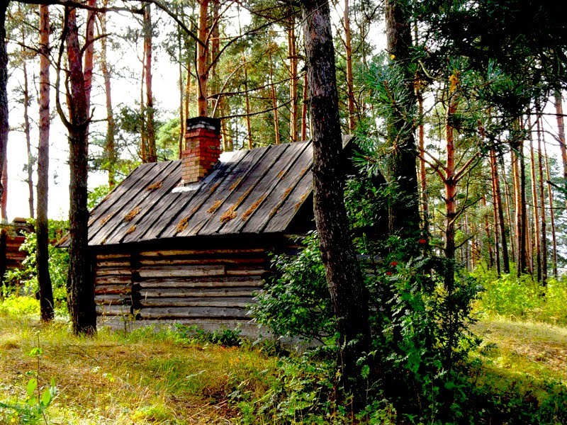 Большая Ижора. Избушка.