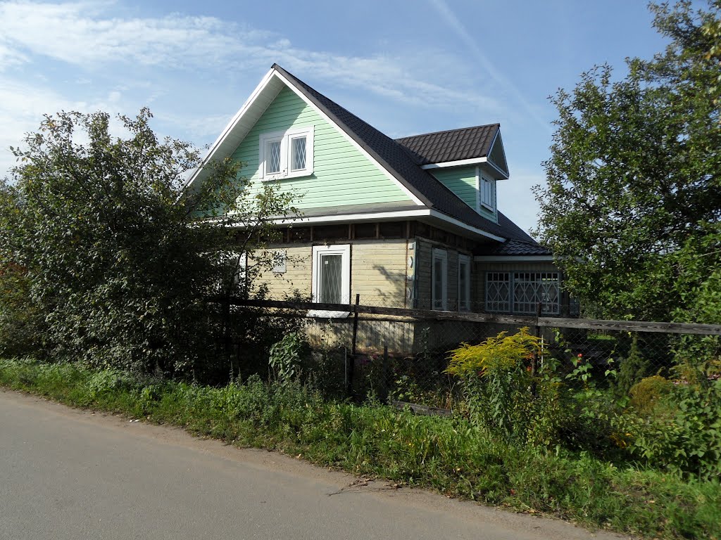 Большая Ижора. ул. Сургина