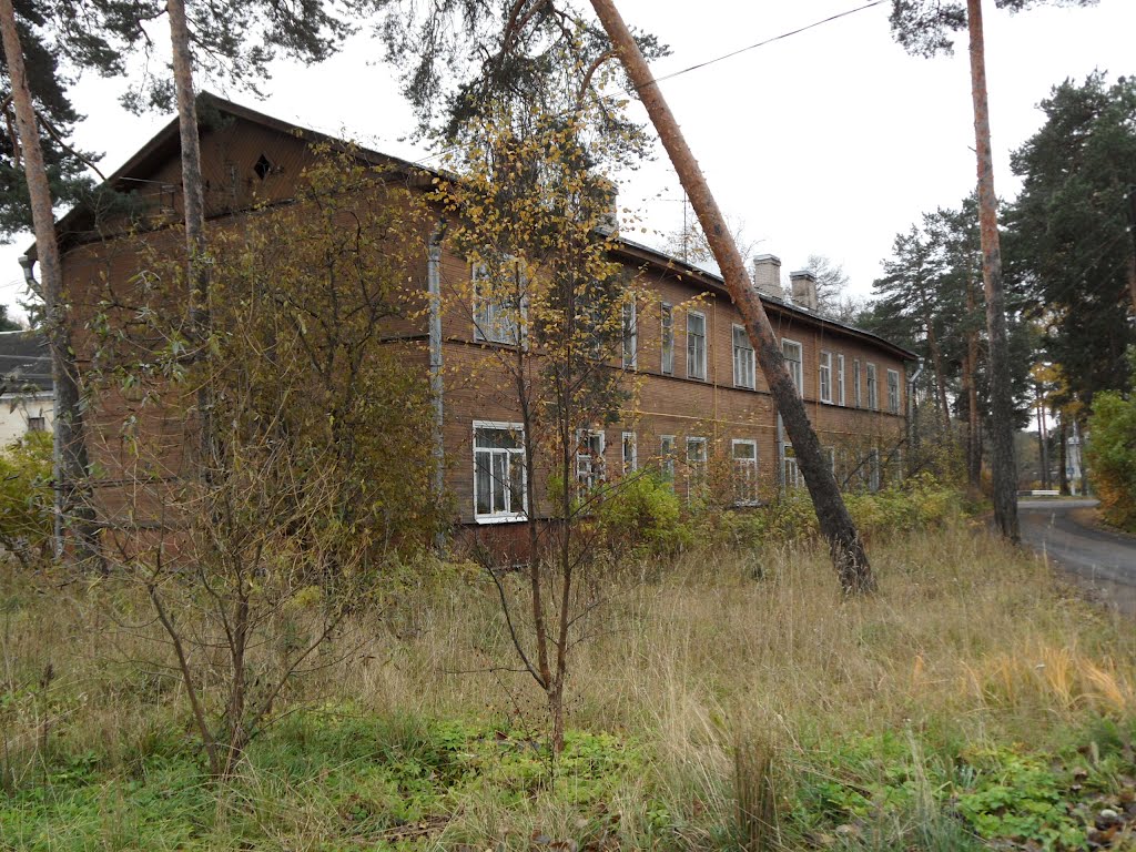 БОЛЬШАЯ ИЖОРА.