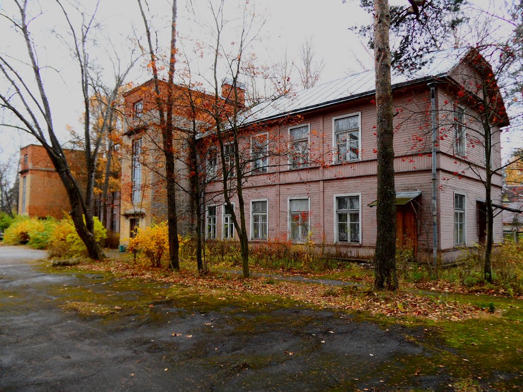 БОЛЬШАЯ ИЖОРА. Поселковая больница