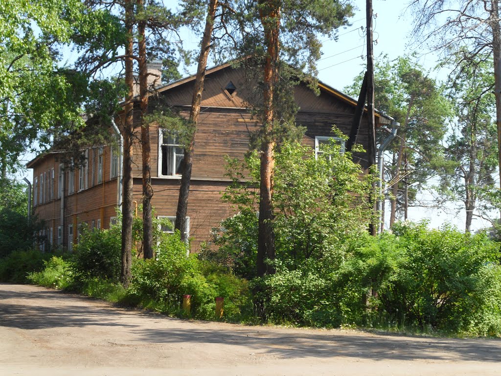 Большая Ижора