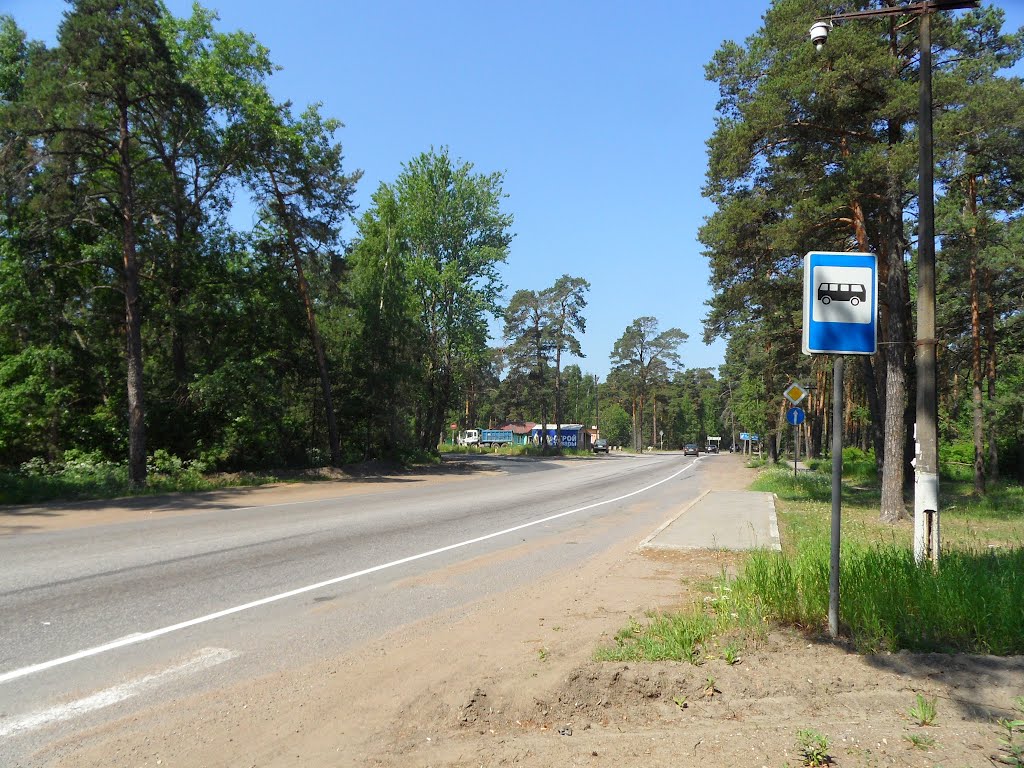 Автодорога А-121 у Большой Ижоры