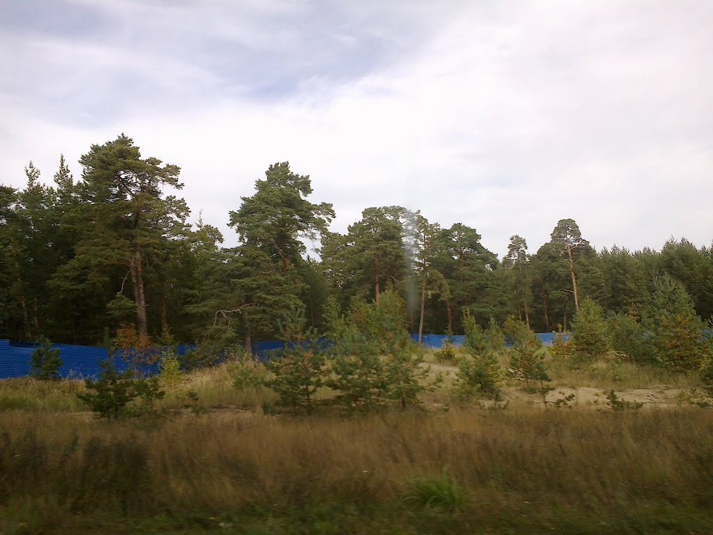 окресности соснового Бора