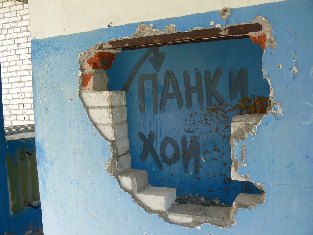 Панки хой!