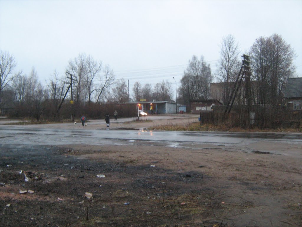 Будогощь (путь в магазин)/Budogoshch (way in shop)