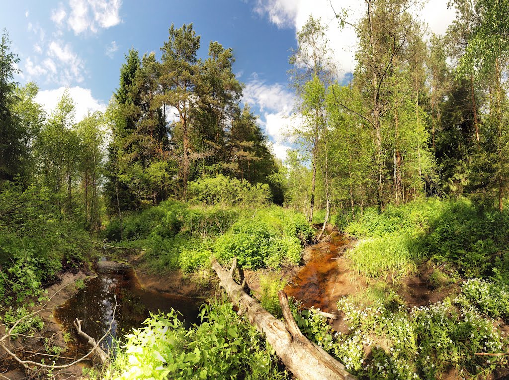 Ingor river