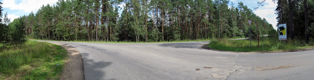 въезд в посёлок Будогощь