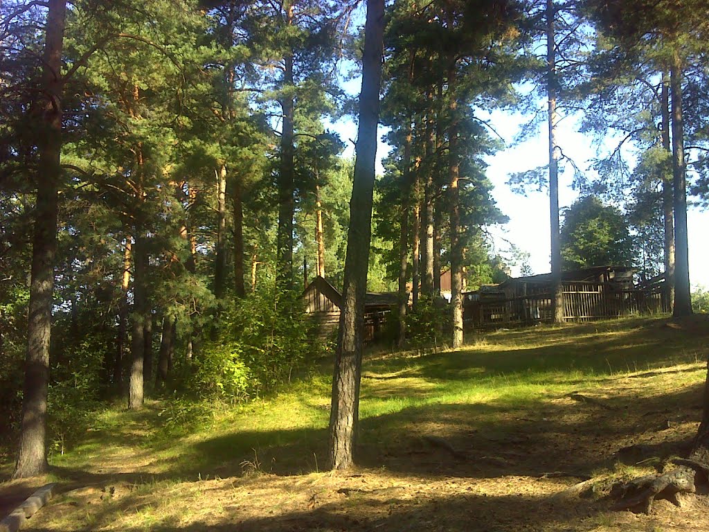 У берега Зеленого озера
